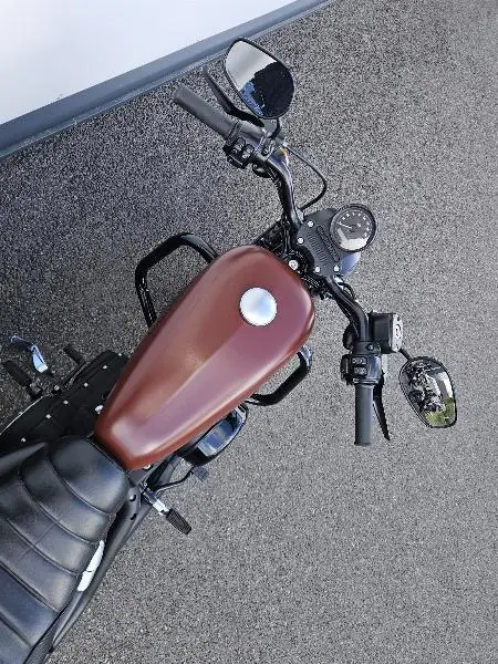 SPORTSTER IRON 883
