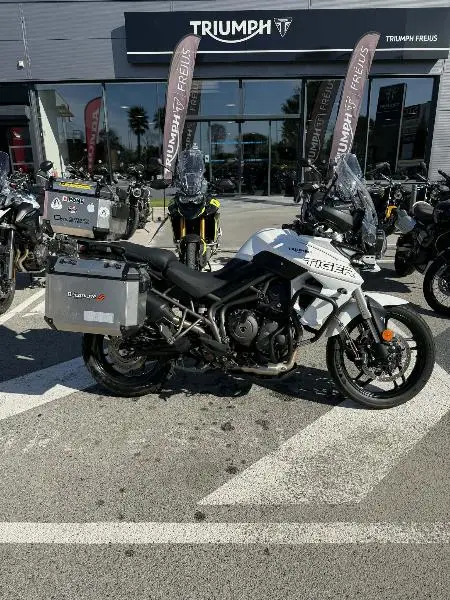 TIGER 800 XRT