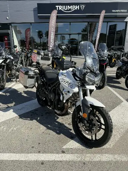 TIGER 800 XRT