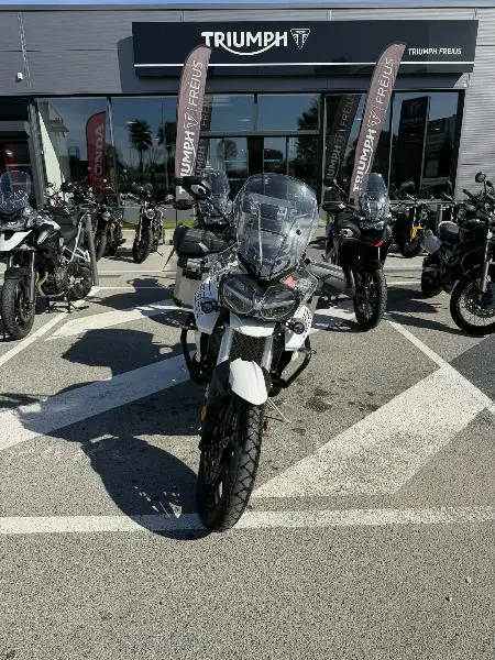 TIGER 800 XRT