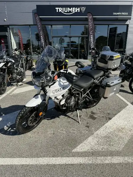 TIGER 800 XRT