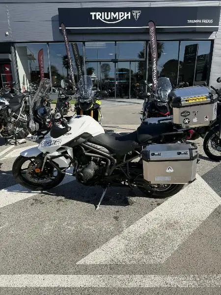 TIGER 800 XRT