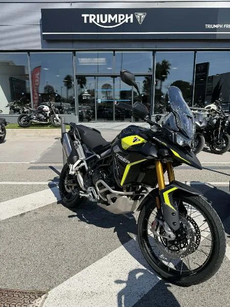 TIGER 900 RALLY PRO