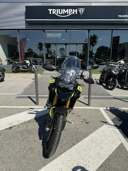TIGER 900 RALLY PRO