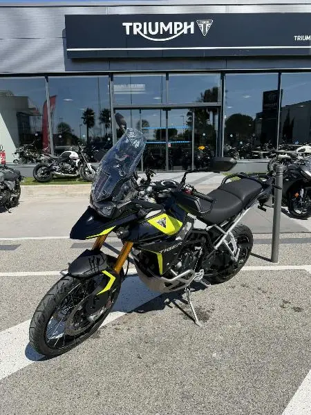 TIGER 900 RALLY PRO