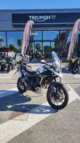 Tiger 900 GT PRO