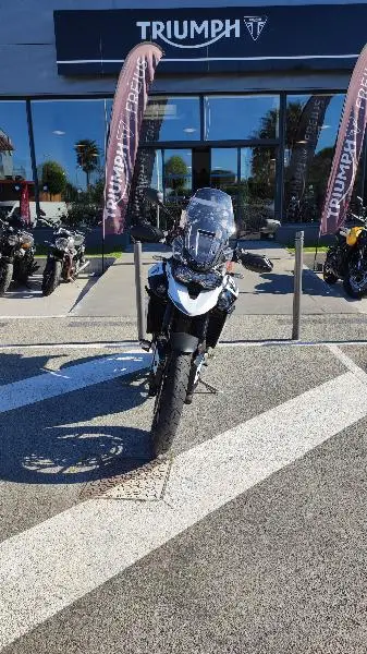 Tiger 900 GT PRO