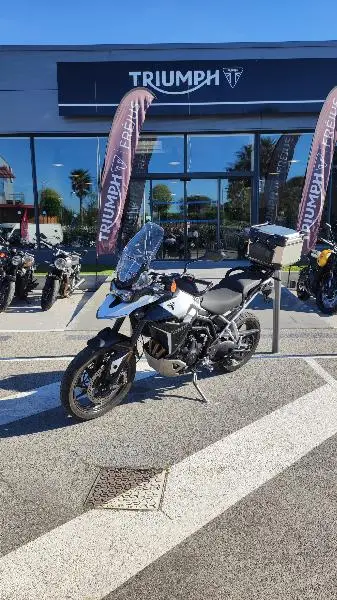 Tiger 900 GT PRO