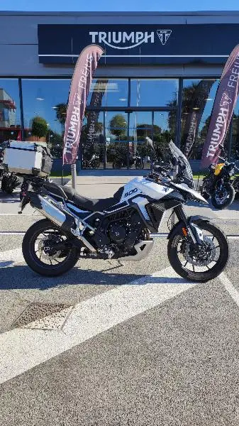 Tiger 900 GT PRO