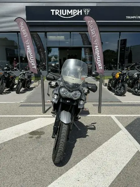 TIGER 800 XRX