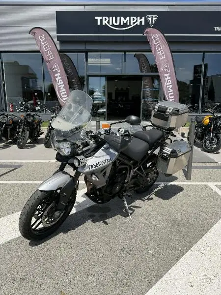 TIGER 800 XRX