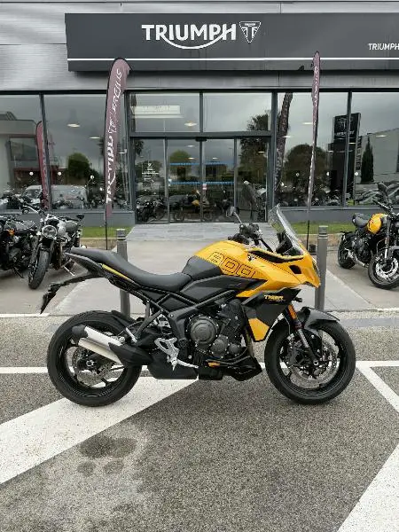 TIGER SPORT 800 2025