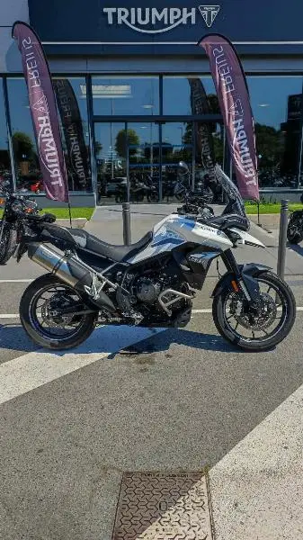 Tiger 900 GT PRO