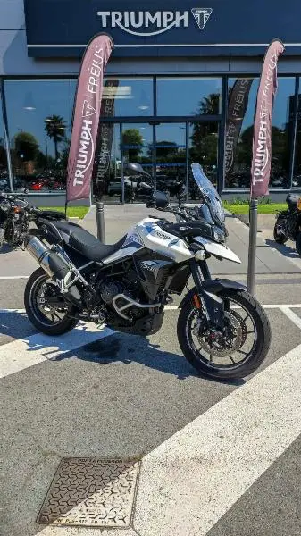 Tiger 900 GT PRO