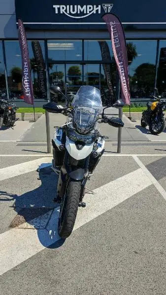 Tiger 900 GT PRO