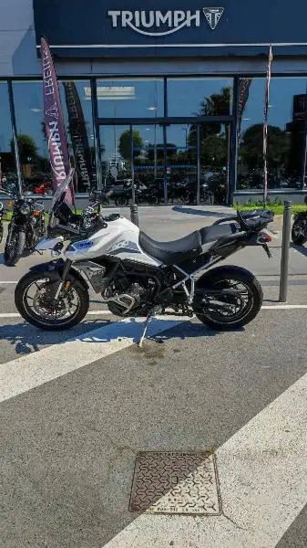 Tiger 900 GT PRO