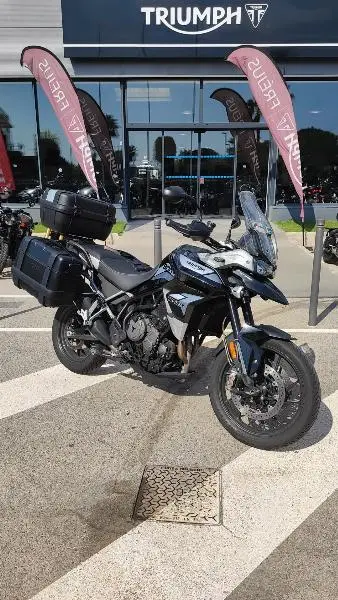 Tiger 900 GT PRO