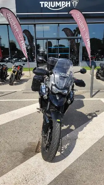 Tiger 900 GT PRO