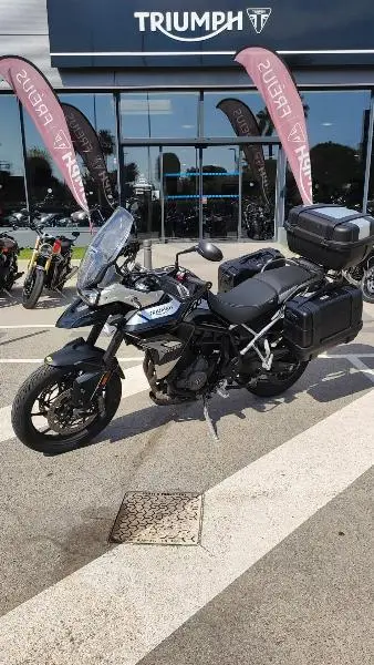 Tiger 900 GT PRO