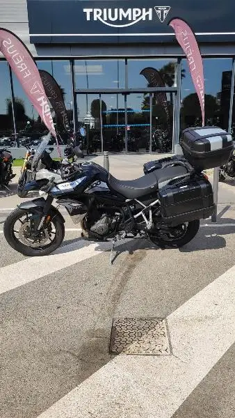 Tiger 900 GT PRO