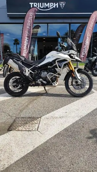 TIGER 900 RALLY PRO 2021