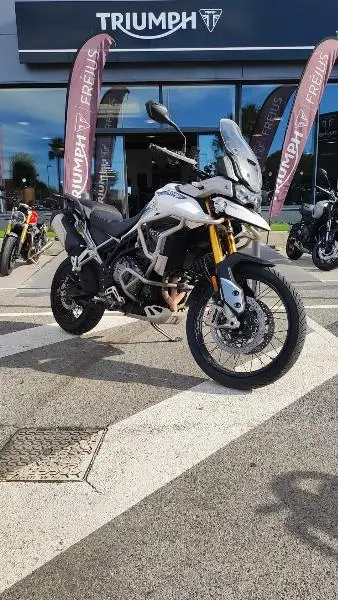 TIGER 900 RALLY PRO