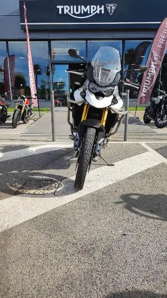 TIGER 900 RALLY PRO