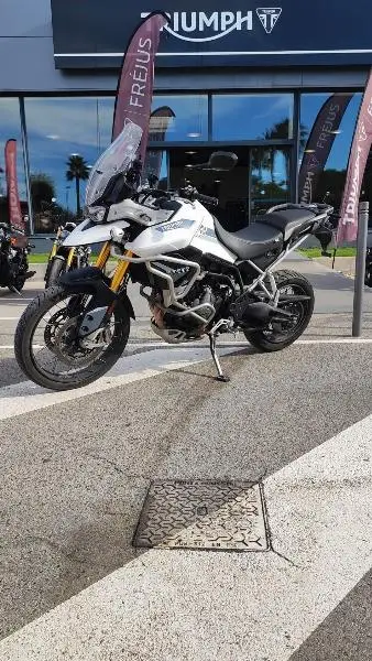TIGER 900 RALLY PRO