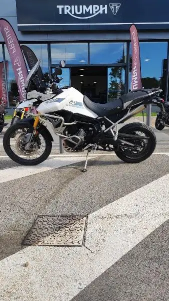TIGER 900 RALLY PRO