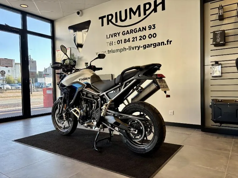 Tiger 900 Alpine Edition
