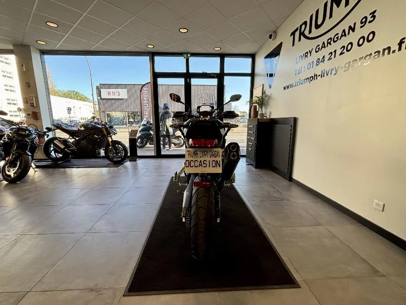 Tiger 900 Alpine Edition