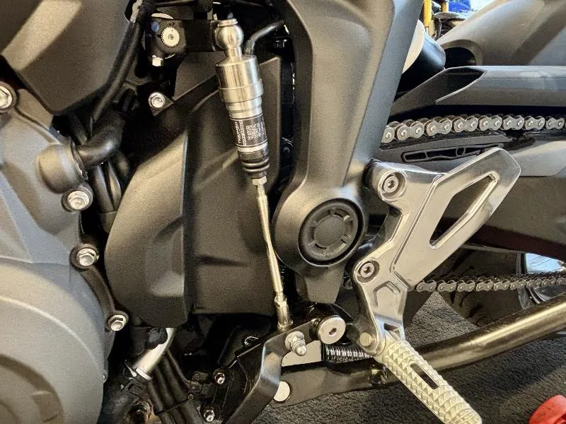 TIGER 800