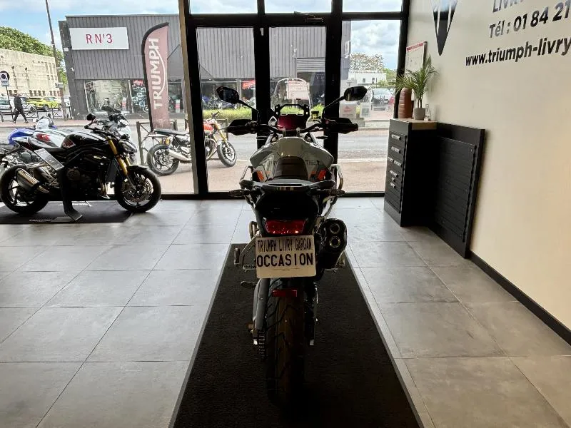 TIGER 900 Desert Edition