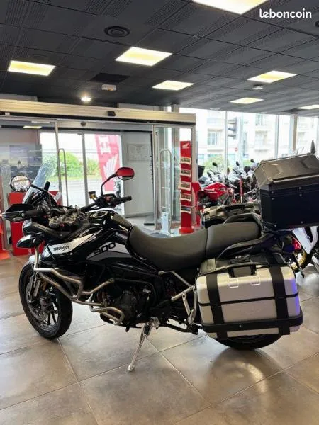 Tiger 900 GT