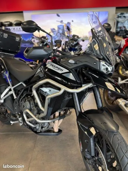 Tiger 900 GT