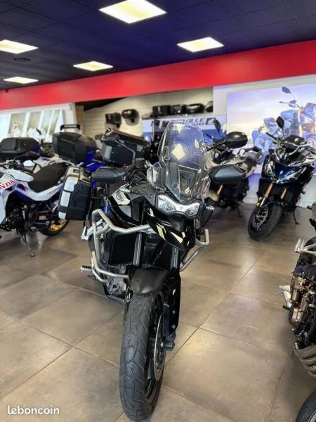 Tiger 900 GT