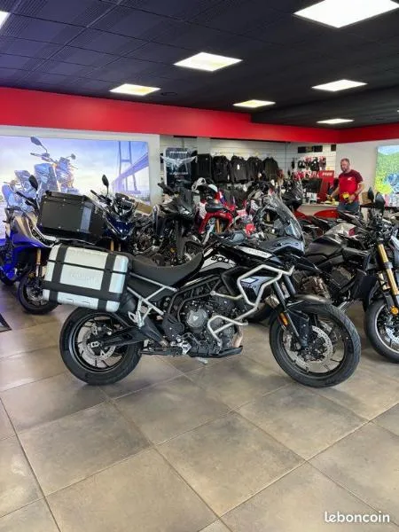 Tiger 900 GT