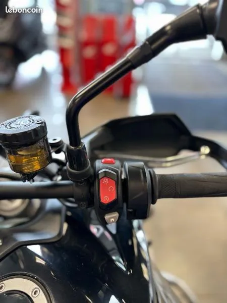 Tiger 900 GT