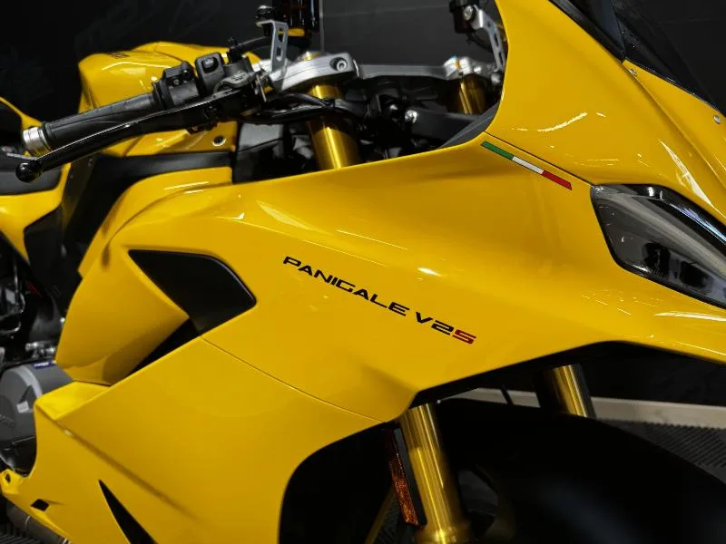 PANIGAE V2 S