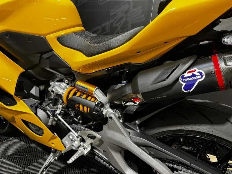 PANIGAE V2 S