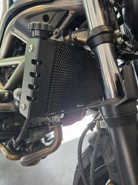 SV 650