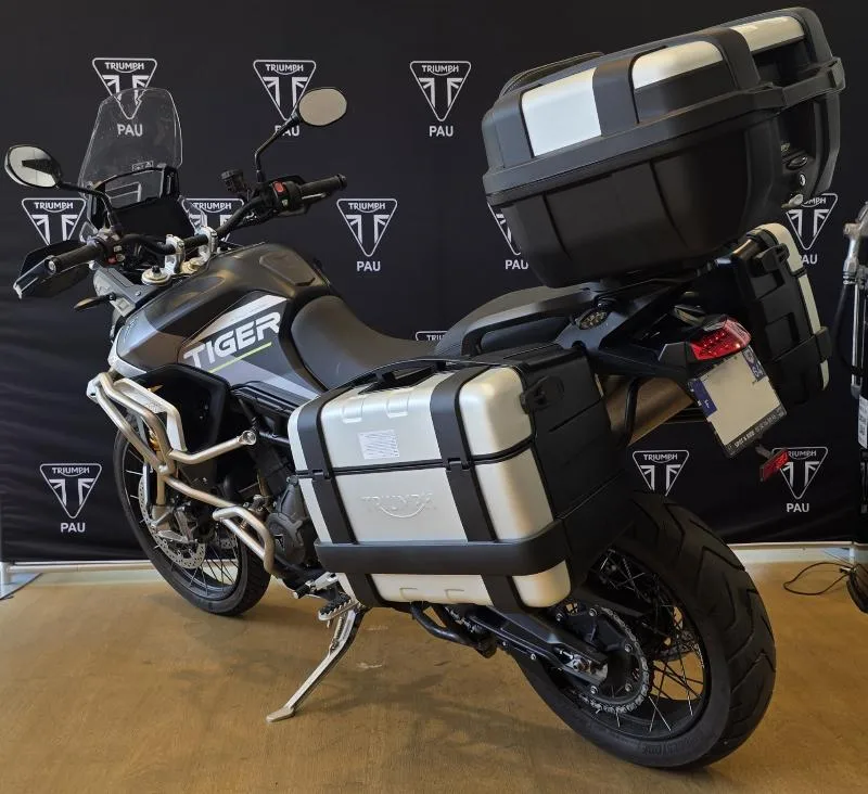 Tiger 900 Rally Aragon Edition