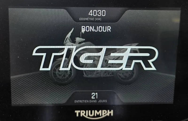 Tiger 900 Rally Aragon Edition