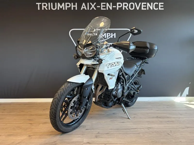 TIGER 800 XRT