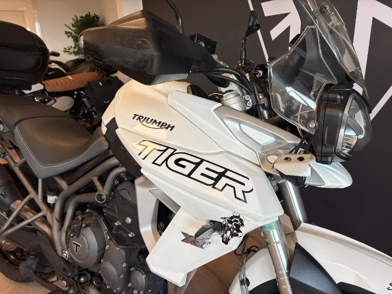 TIGER 800 XRT