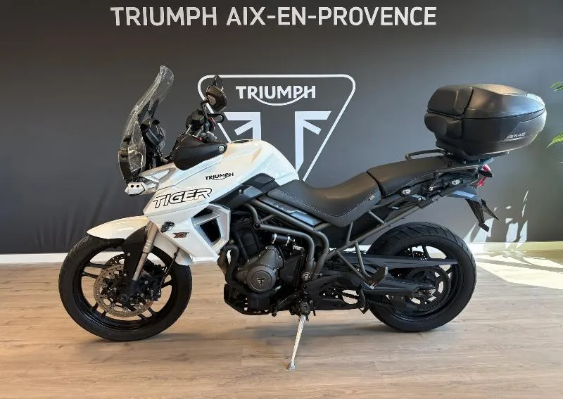 TIGER 800 XRT