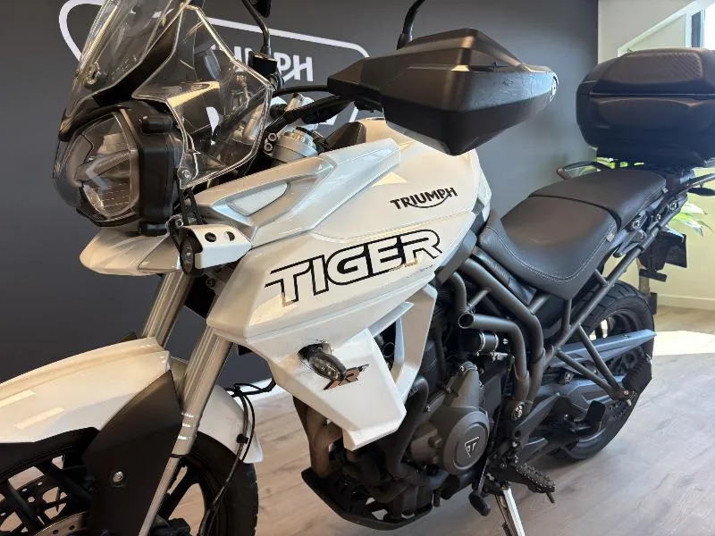 TIGER 800 XRT