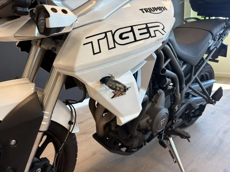 TIGER 800 XRT