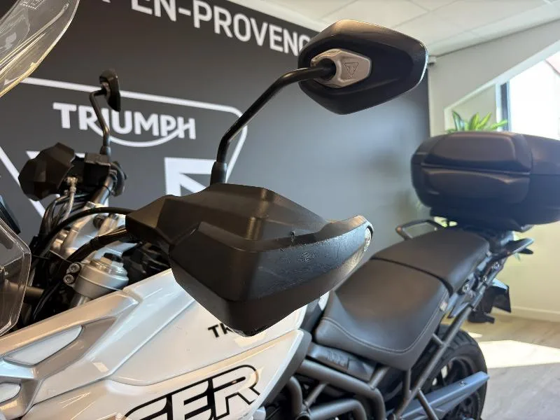 TIGER 800 XRT
