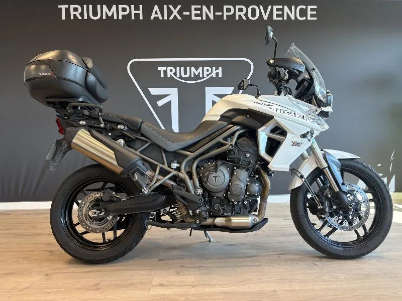 TIGER 800 XRT